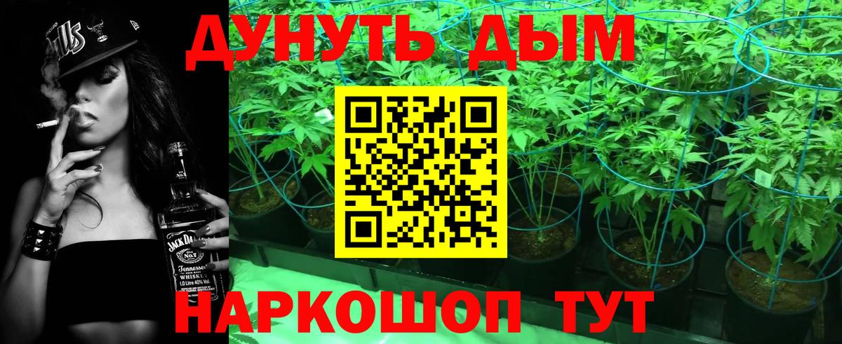 Бошки марихуана THC 21%  Вход с VPN  Истра  Марихуана марихуана  Канабис конопля 